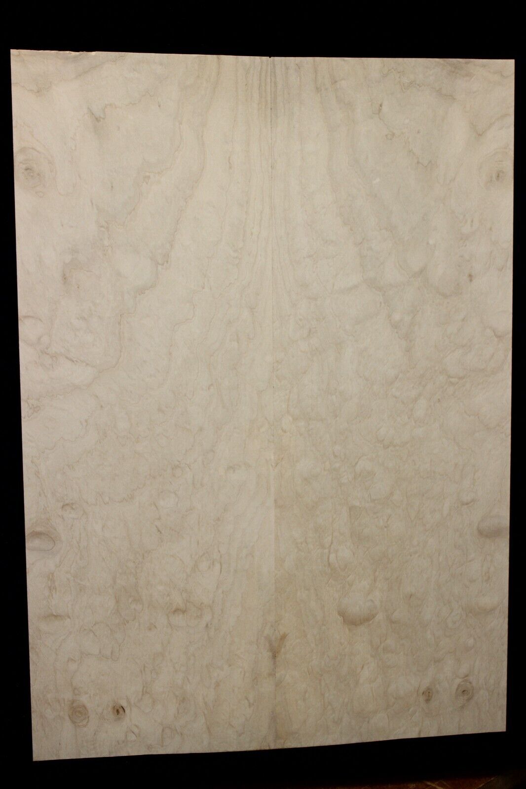 Silver maple, burl / lace figured guitar book matched top.