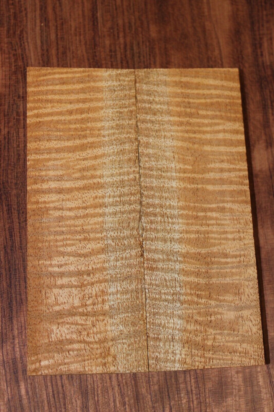 Curly / flame mahogany knife scale, gun grip. Insane tight figure 5.5 X 2 X 3/8"