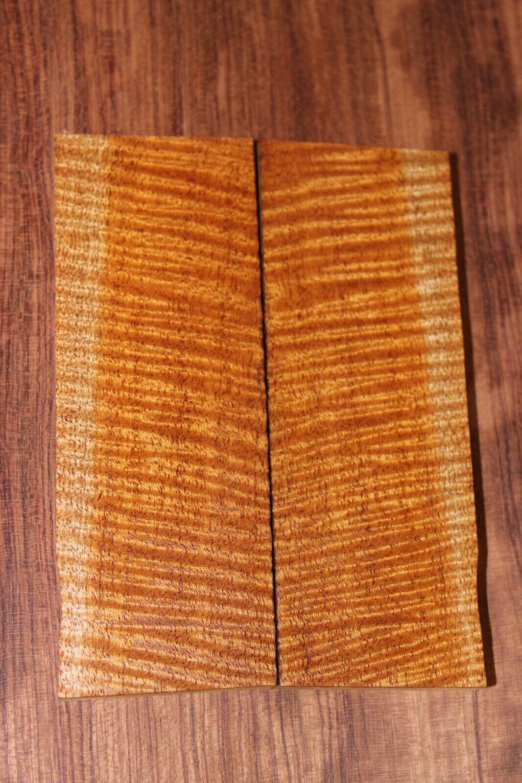 Curly / flame mahogany knife scale, gun grip. Insane tight figure 5.5 X 2 X 3/8"