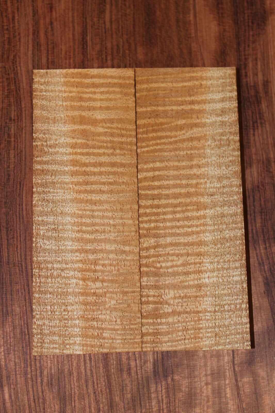 Curly / flame mahogany knife scale, gun grip. Insane tight figure 5.5 X 2 X 3/8"