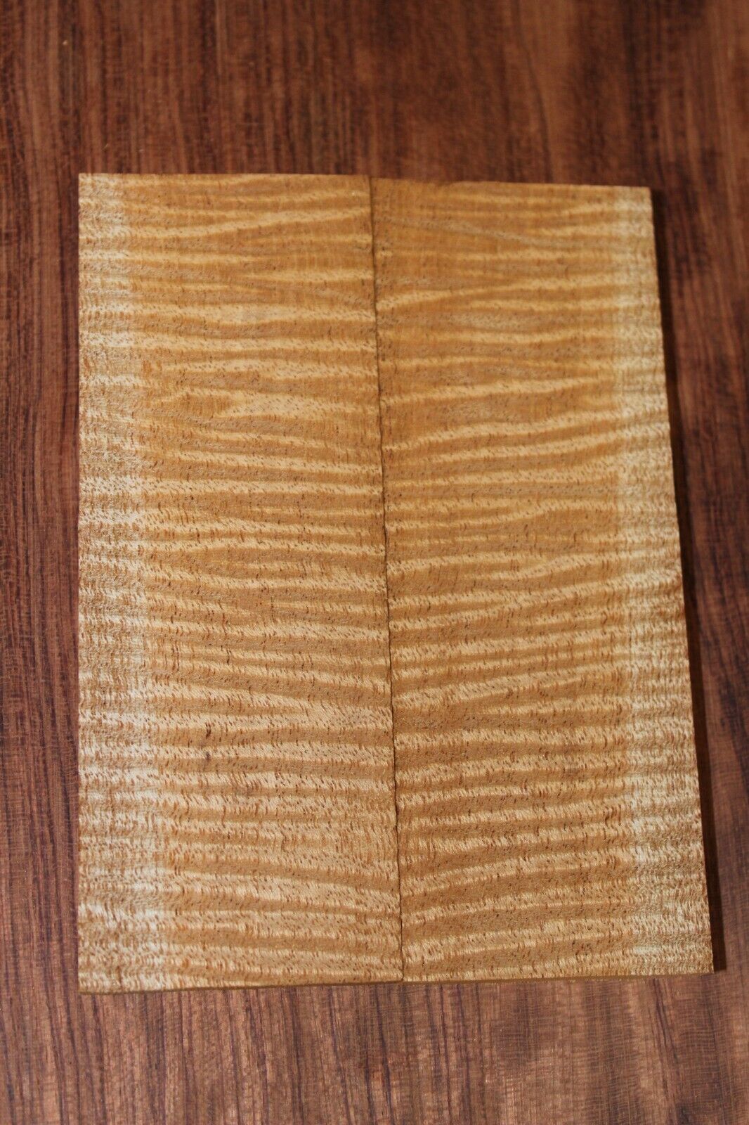 Curly / flame mahogany knife scale, gun grip. Insane tight figure 5.5 X 2 X 3/8"