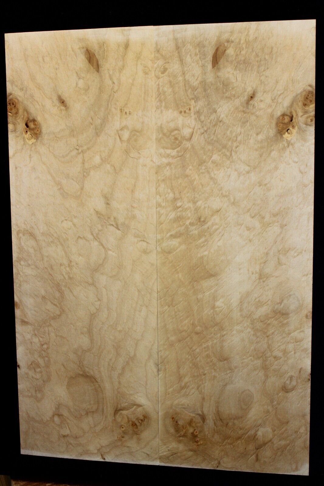 Silver maple, burl / lace figured guitar book matched top.