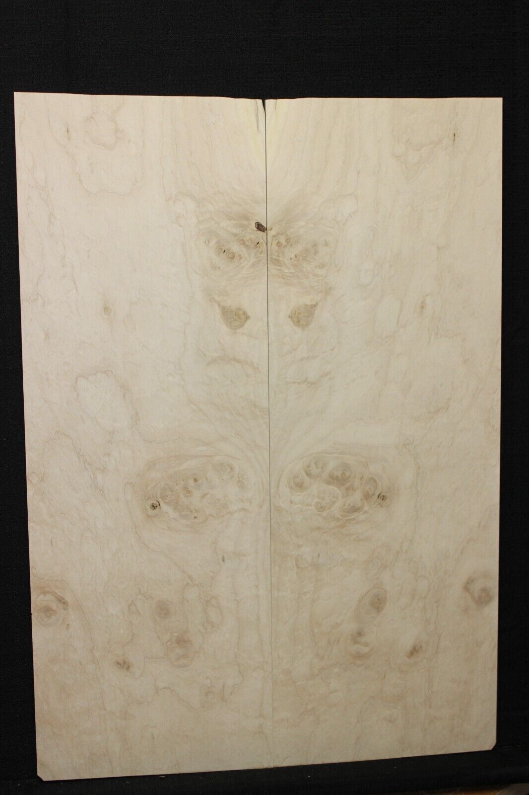 Silver maple, burl / lace figured guitar book matched top.
