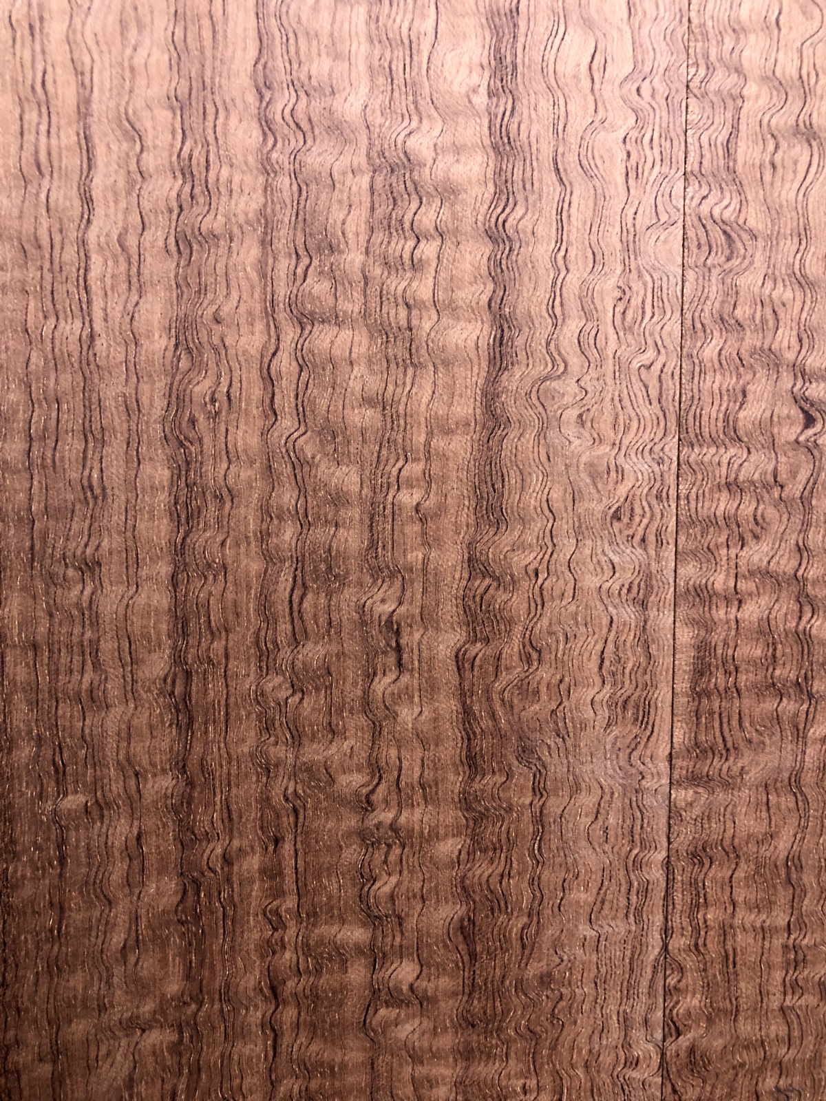 Figured quarter sawn bubinga guitar drop top.