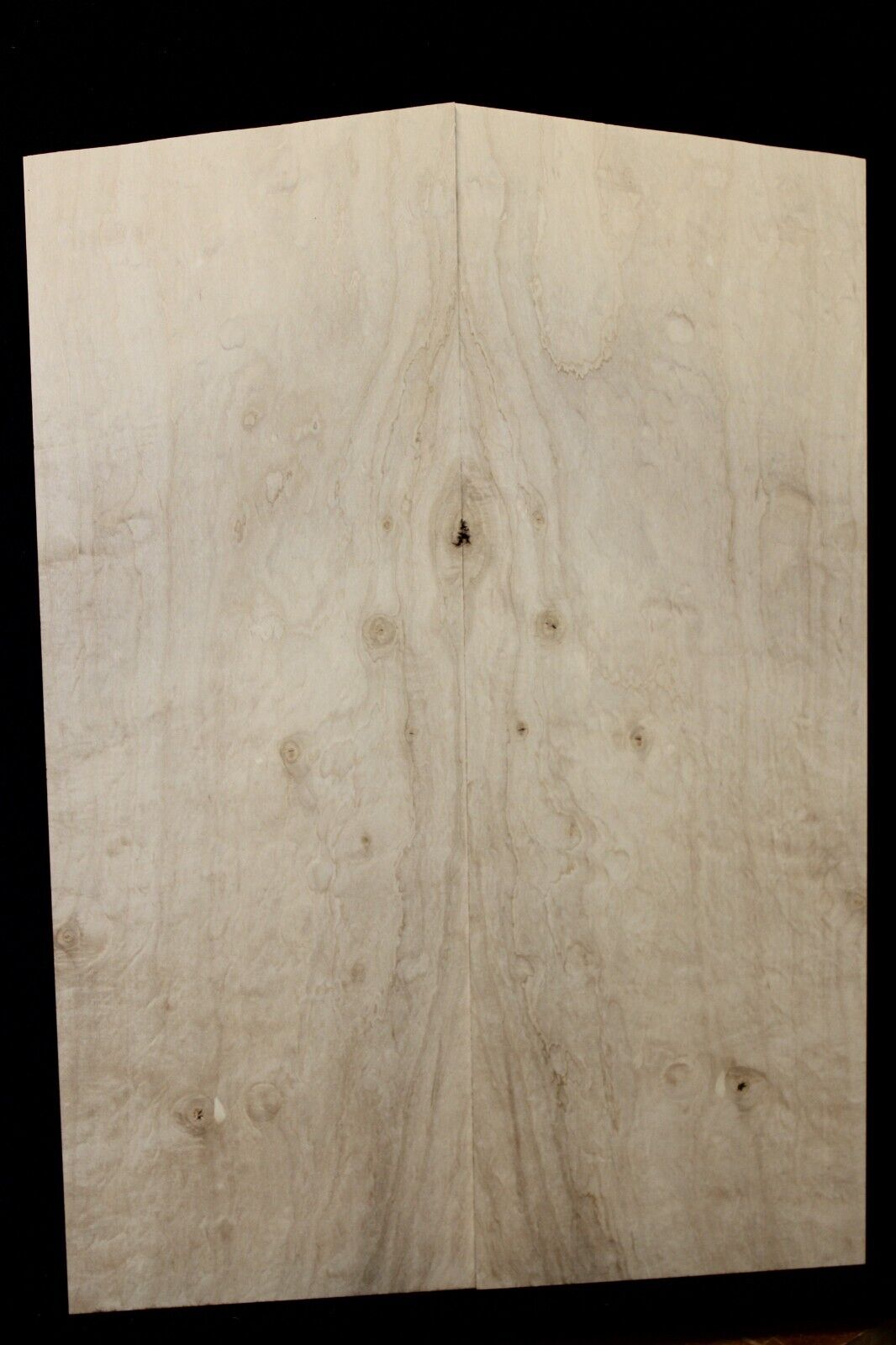 Silver maple, burl / lace figured guitar book matched top.