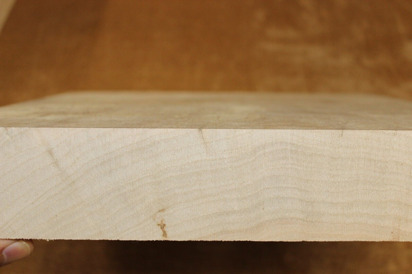 Silver maple bowl blank with blister figure 12.75 X 12.75 X 2.25"