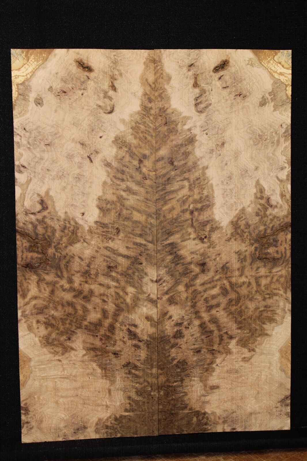 Smoked Scottish oak burl book matched guitar top. Personal stash piece.