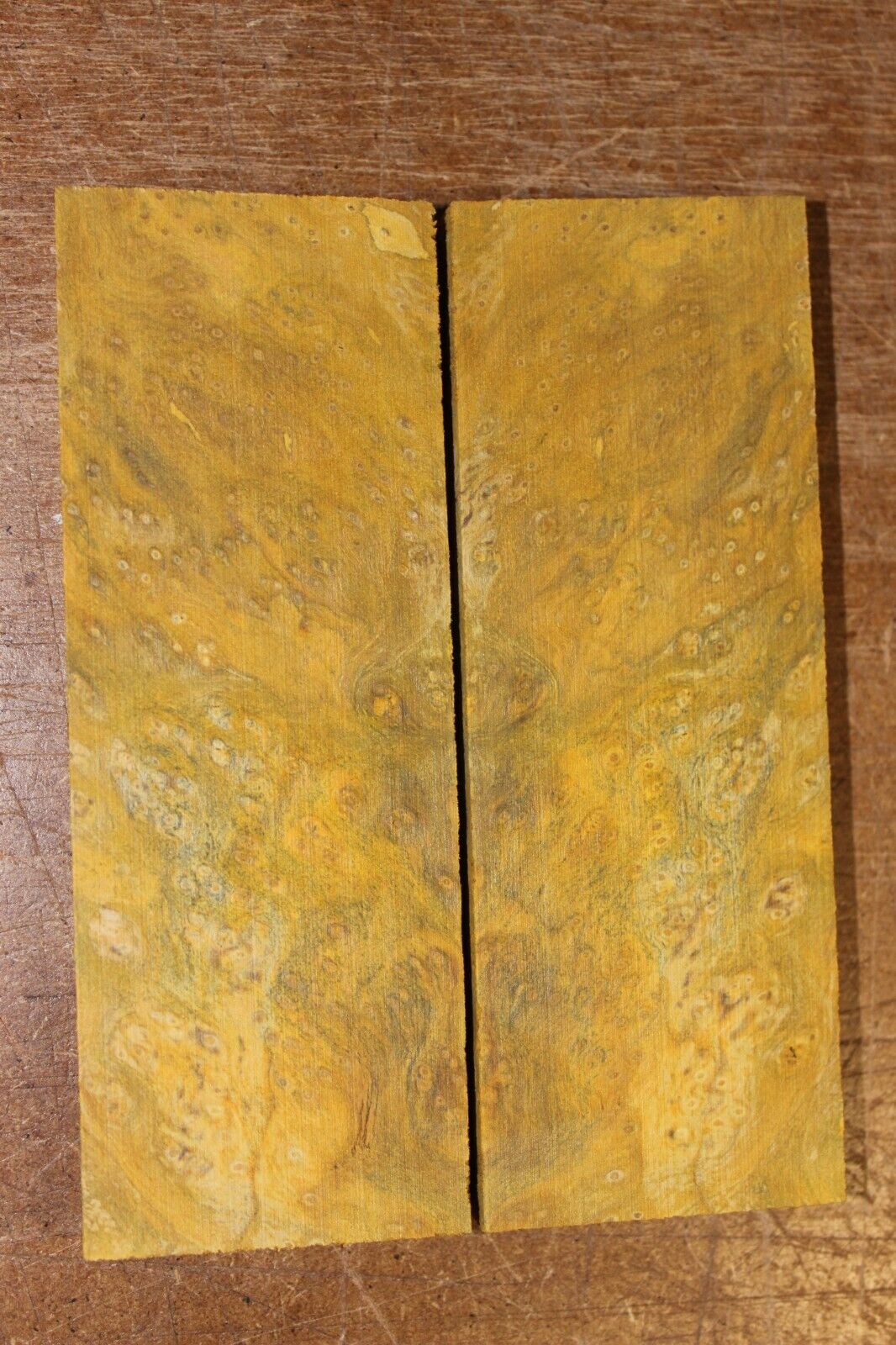 Golden Amboyna burl knife scale, gun grip. 5 X 1 7/8 X 3/8"