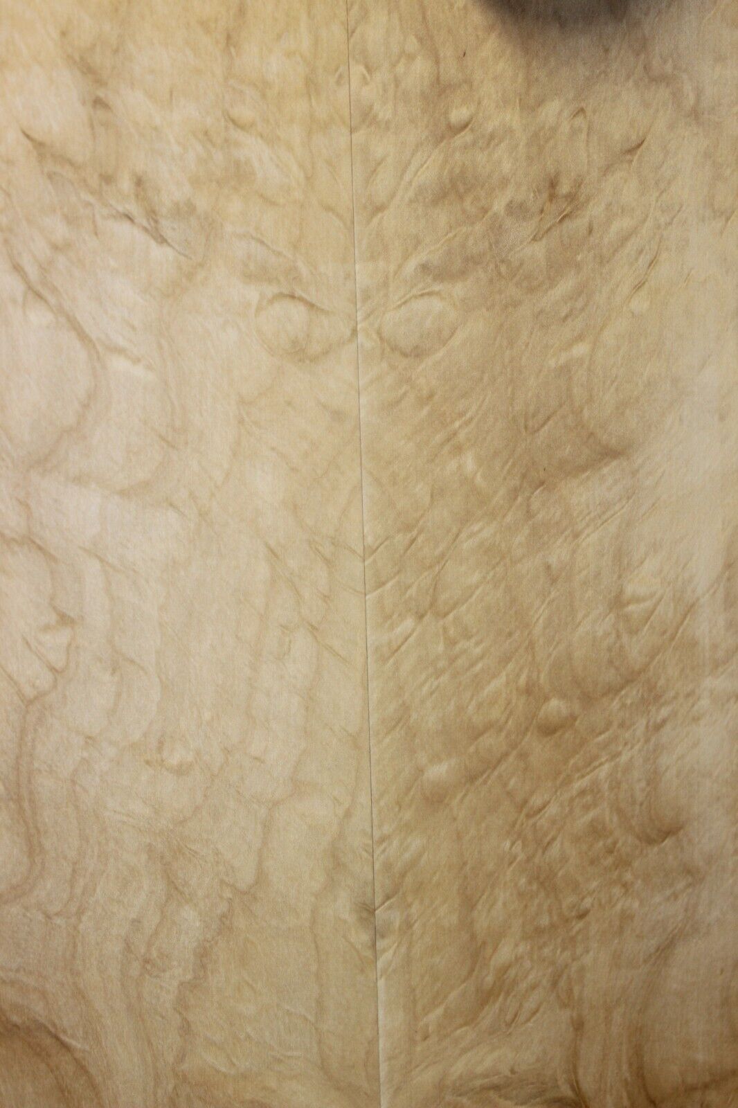 Silver maple, burl / lace figured guitar book matched top.