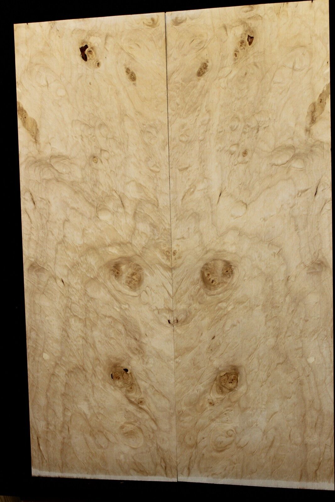 Silver maple, burl / lace figured guitar book matched top.