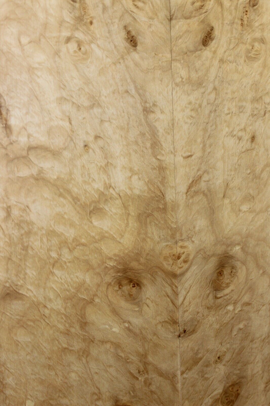 Silver maple, burl / lace figured guitar book matched top.