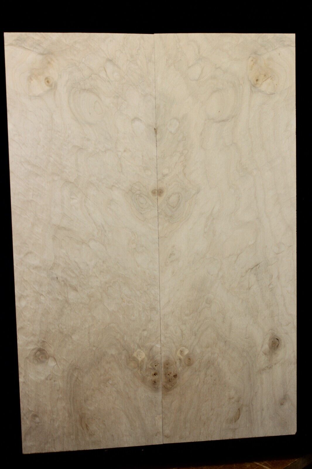 Silver maple, burl / lace figured guitar book matched top.