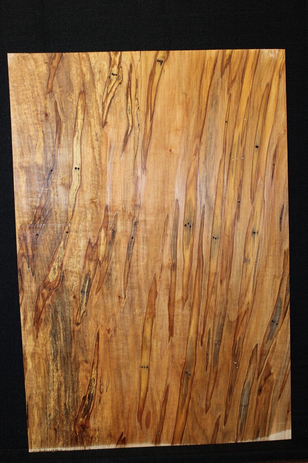 Spalted ambrosia maple one piece guitar top.