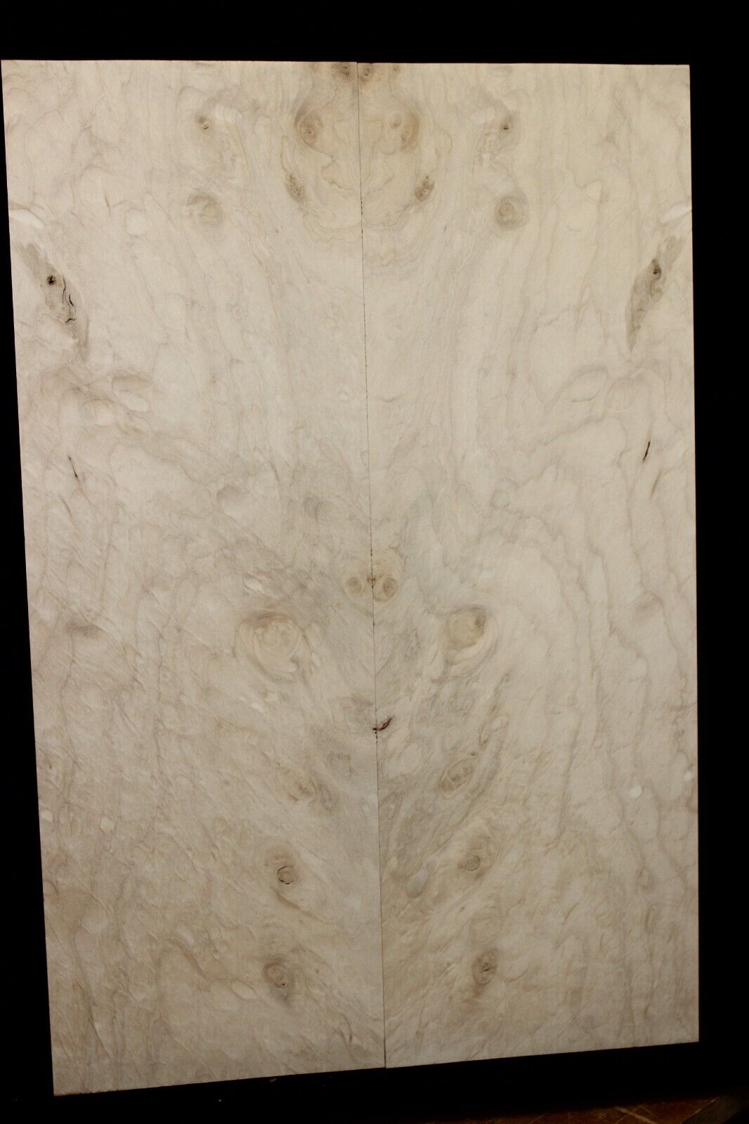 Silver maple, burl / lace figured guitar book matched top.