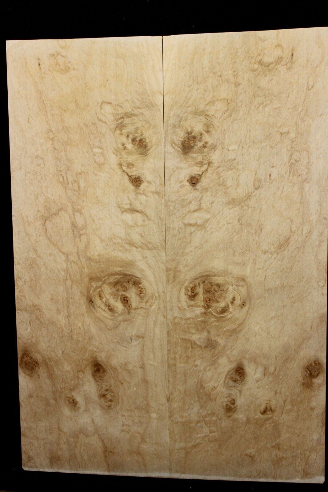Silver maple, burl / lace figured guitar book matched top.