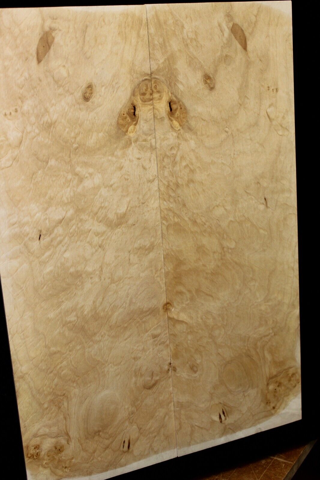 Silver maple, burl / lace figured guitar book matched top.