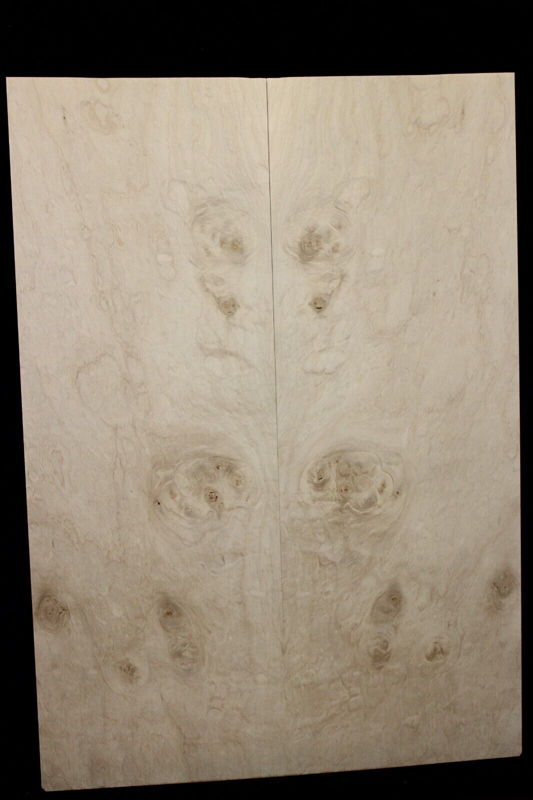 Silver maple, burl / lace figured guitar book matched top.