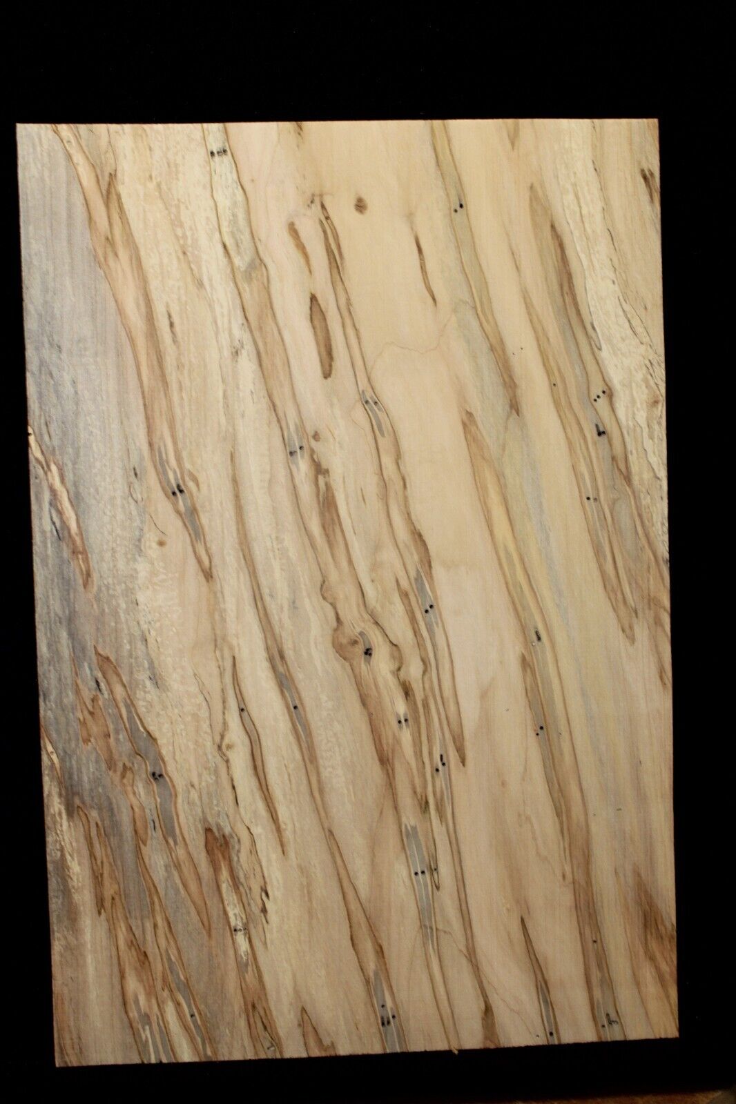 Spalted ambrosia maple one piece guitar top.