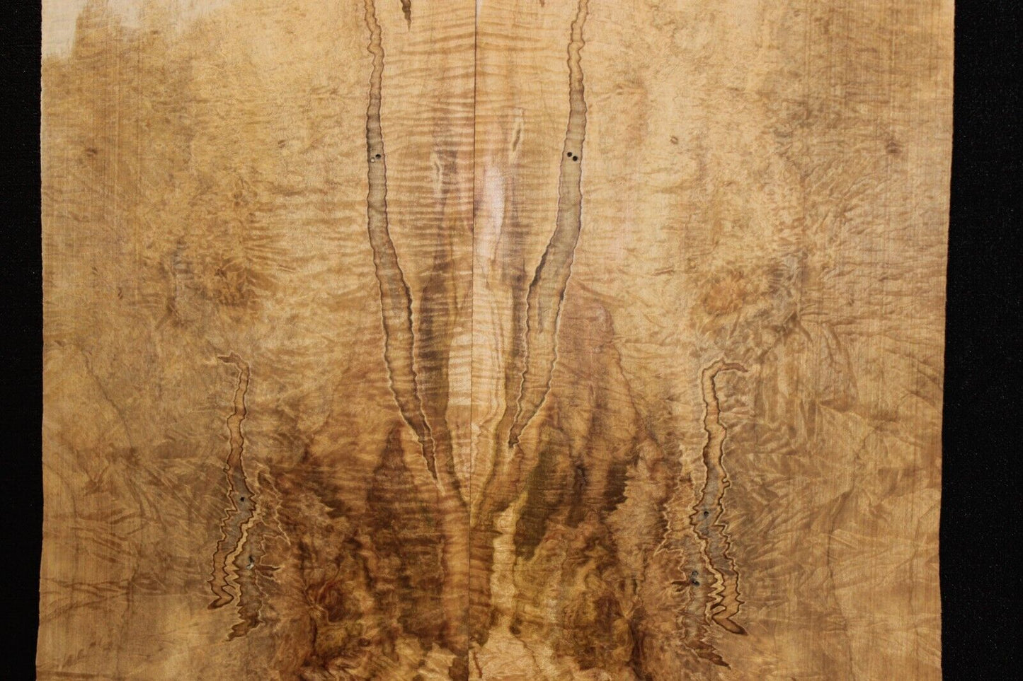 Figured ambrosia maple bookmatched guitar top, insane figure and color.