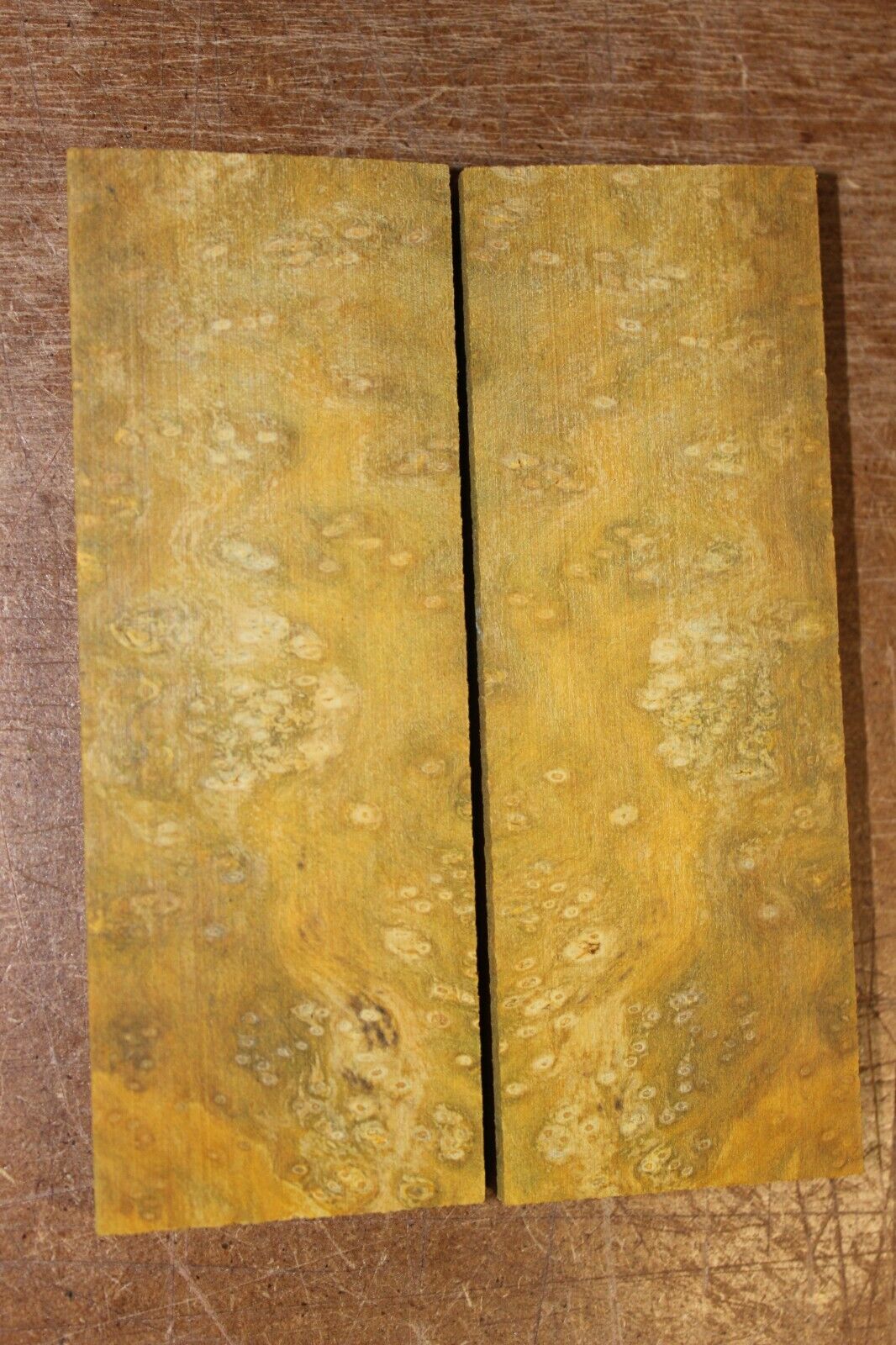 Golden Amboyna burl knife scale, gun grip. 5 X 1 7/8 X 3/8"