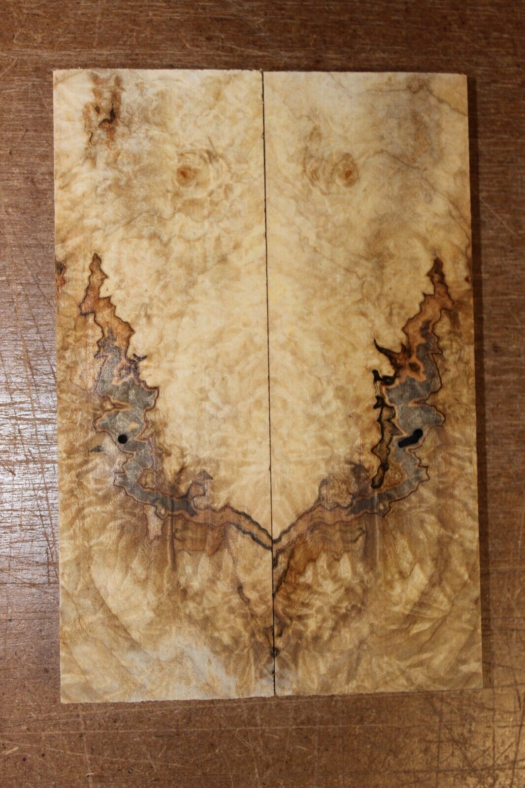 Curly ambrosia maple knife scale, gun grip. Insane tight figure 6 X 2 X 0.40"