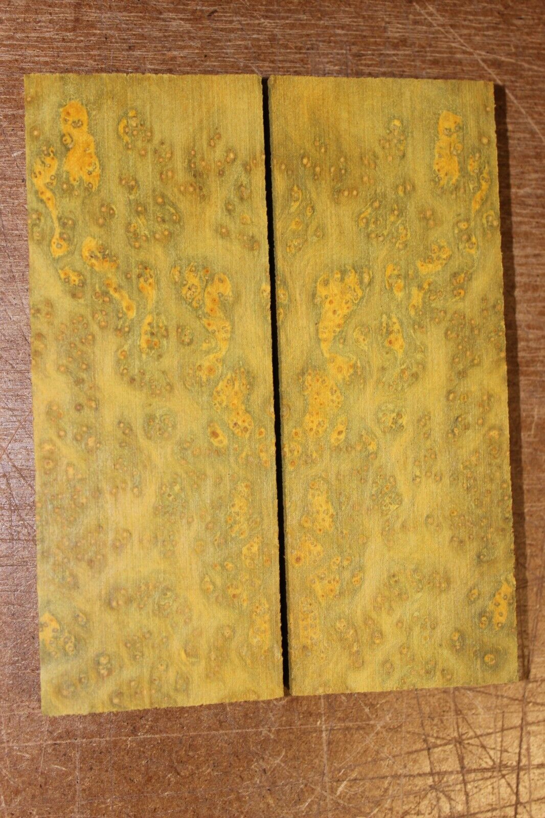 Golden Amboyna burl knife scale, gun grip. 5 X 1 7/8 X 3/8"