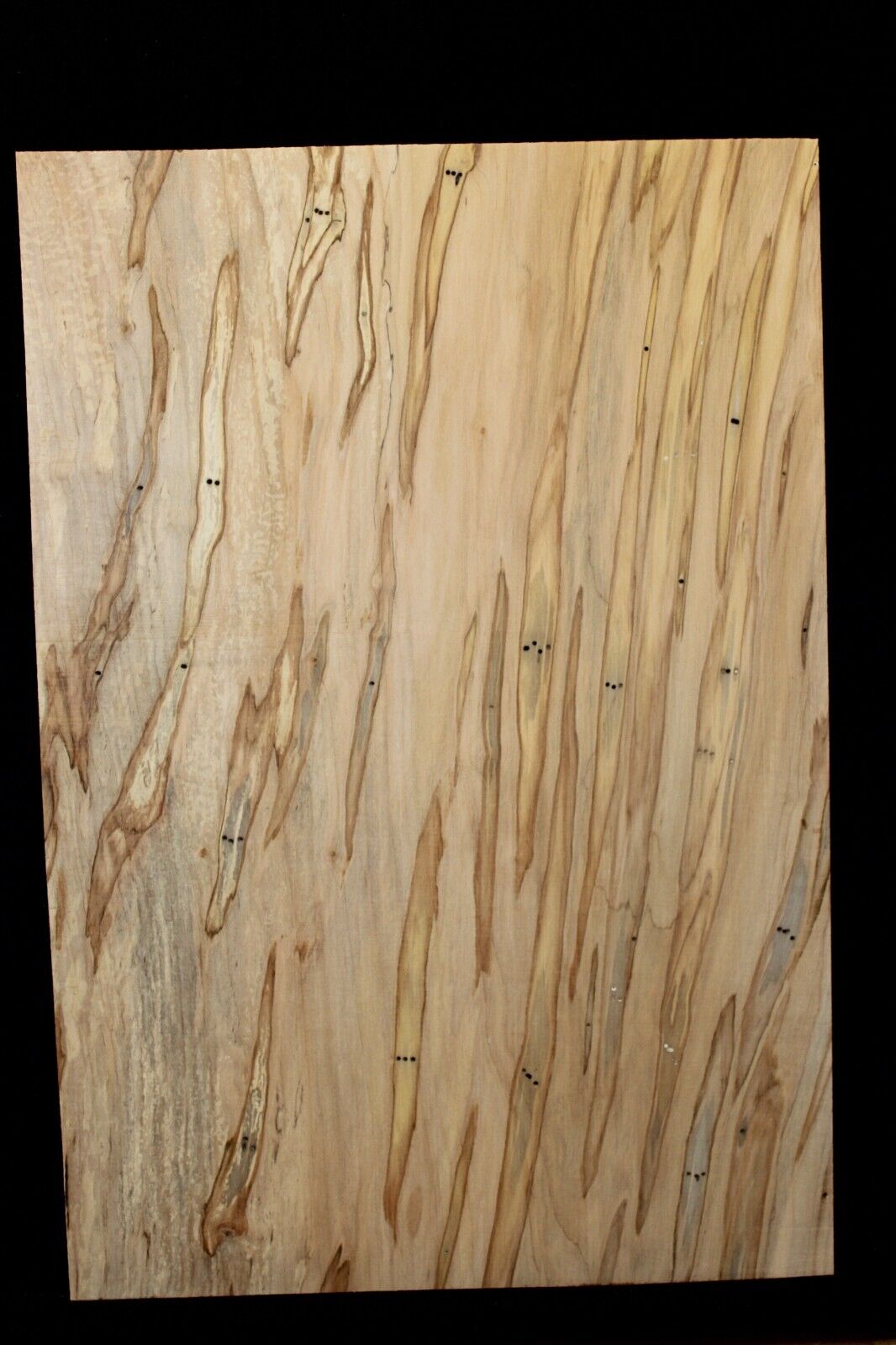 Spalted ambrosia maple one piece guitar top.