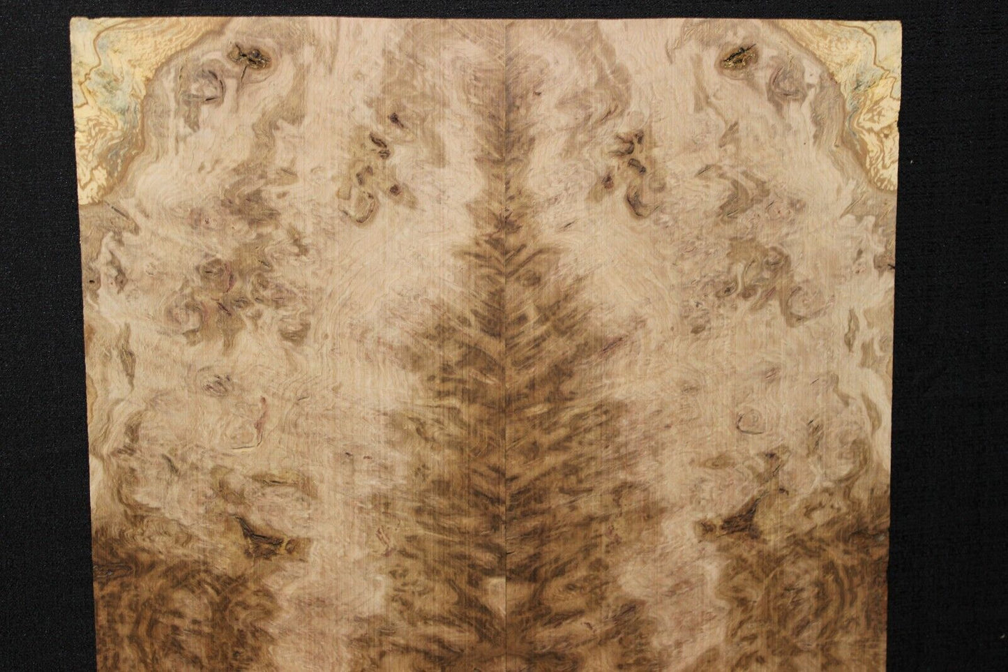 Smoked Scottish oak burl book matched guitar top. Personal stash piece.