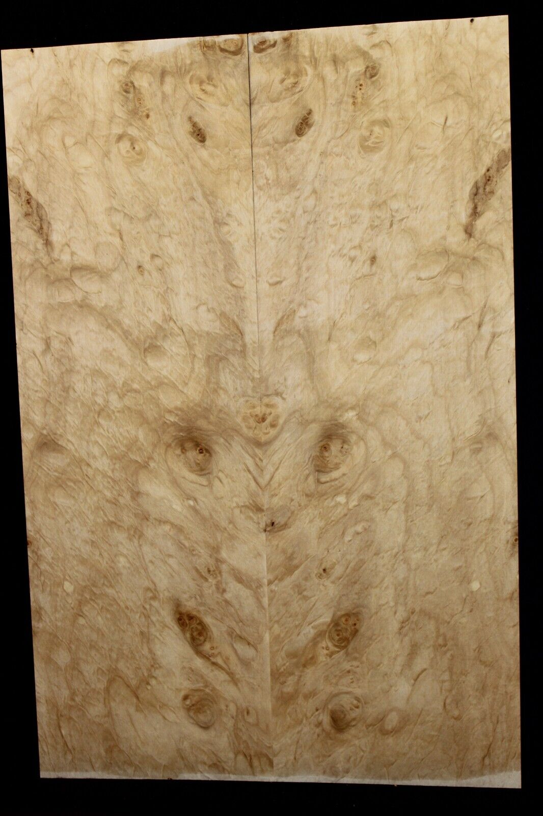 Silver maple, burl / lace figured guitar book matched top.