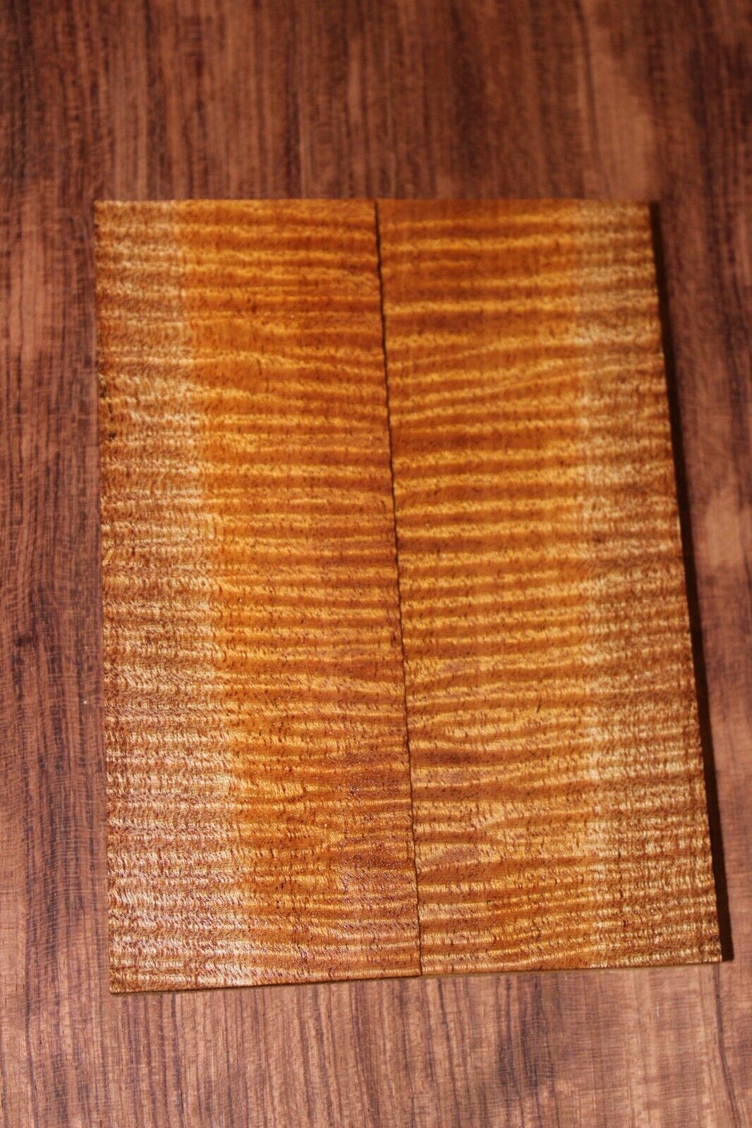 Curly / flame mahogany knife scale, gun grip. Insane tight figure 5.5 X 2 X 3/8"