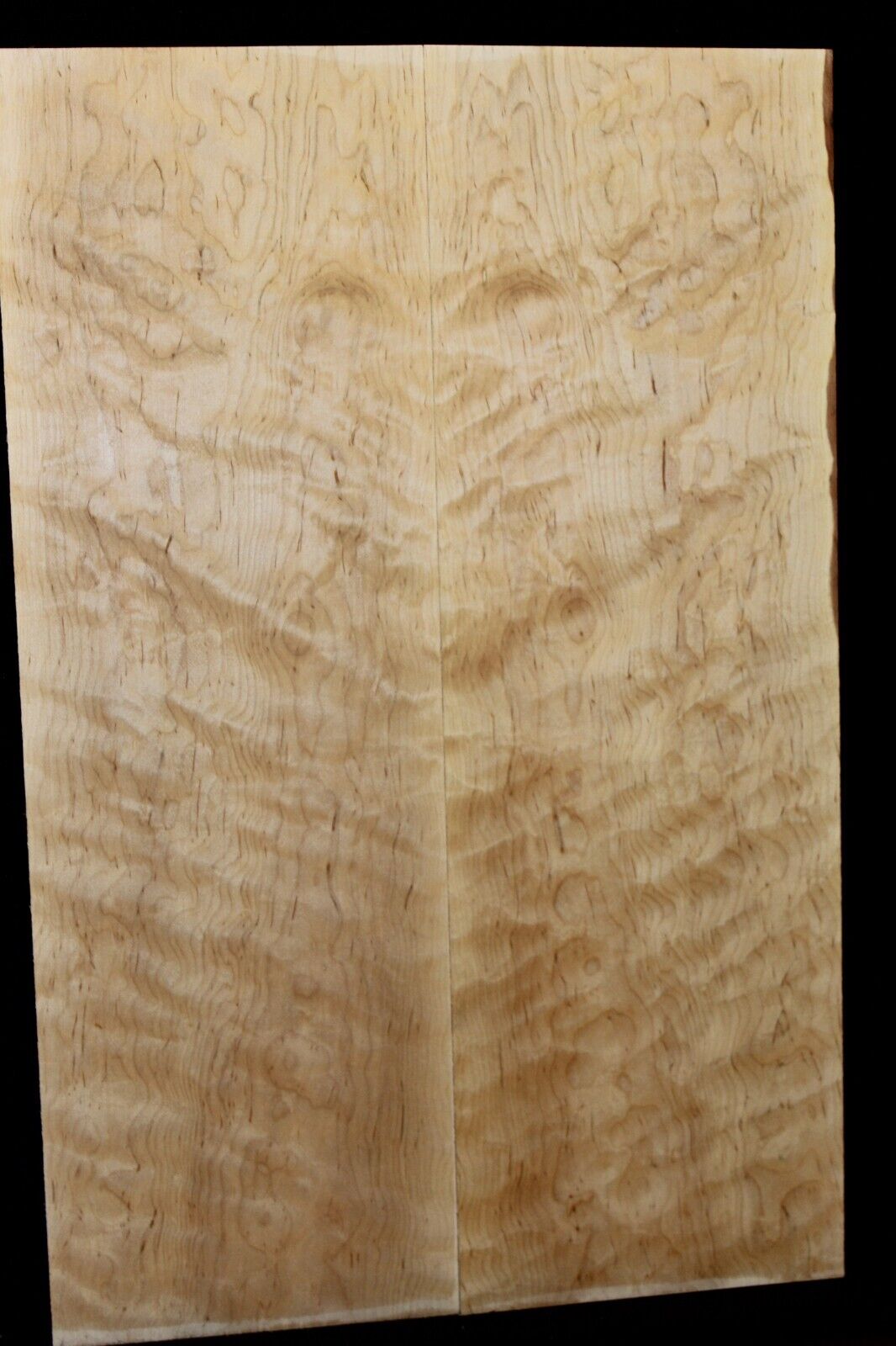 Figured eastern red maple guitar book matched top.