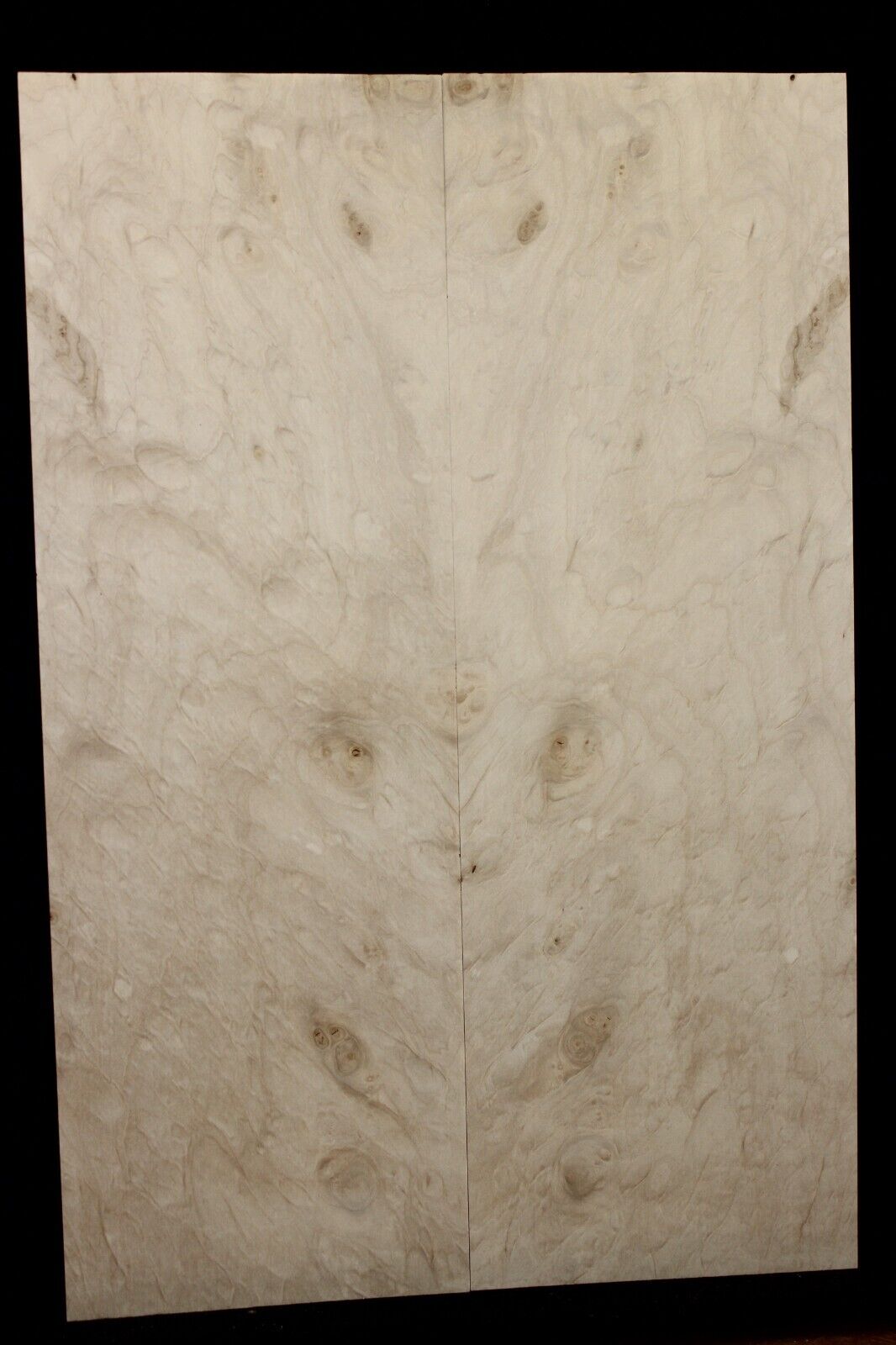 Silver maple, burl / lace figured guitar book matched top.
