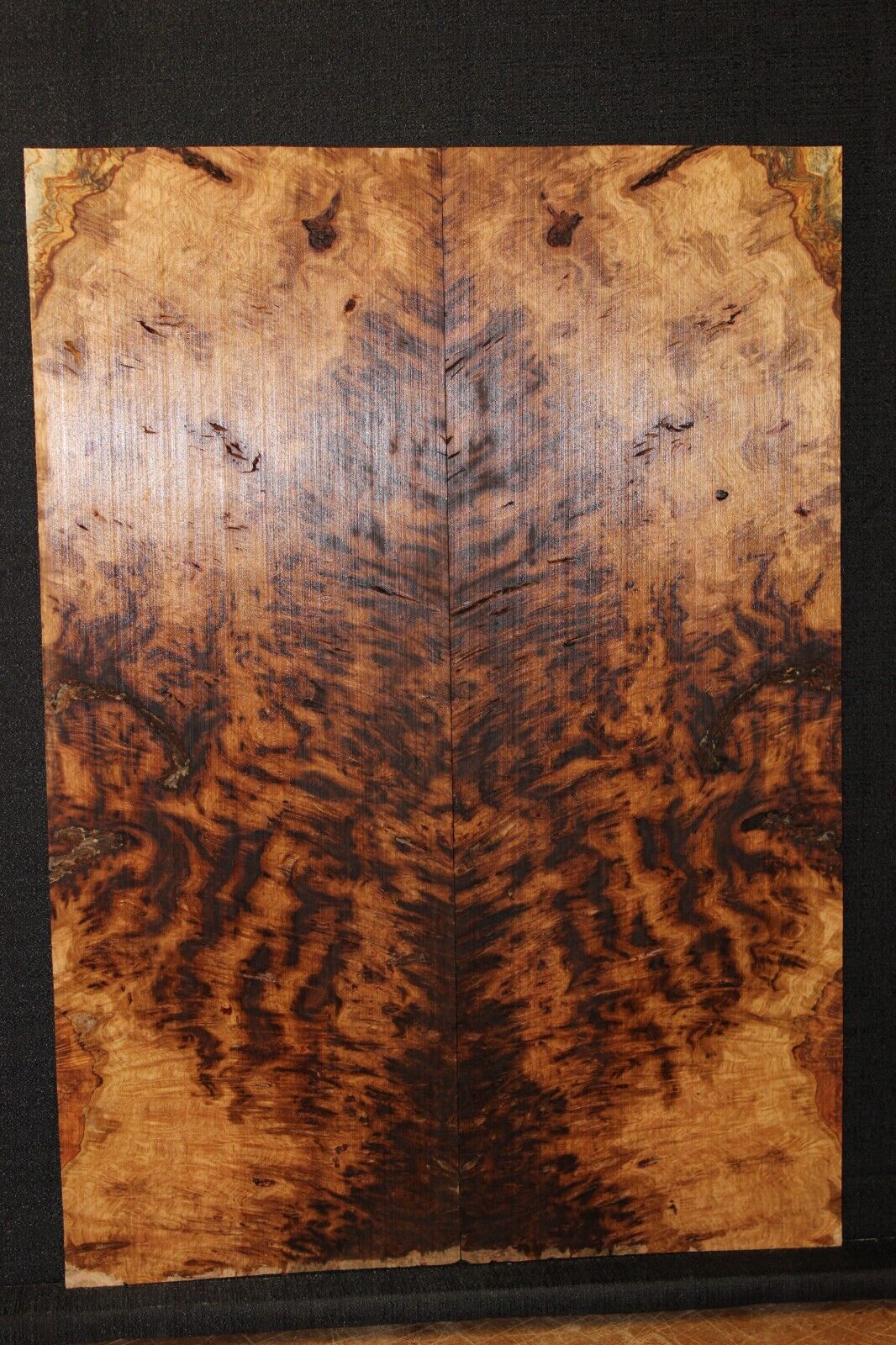 Smoked Scottish oak burl book matched guitar top. Personal stash piece.