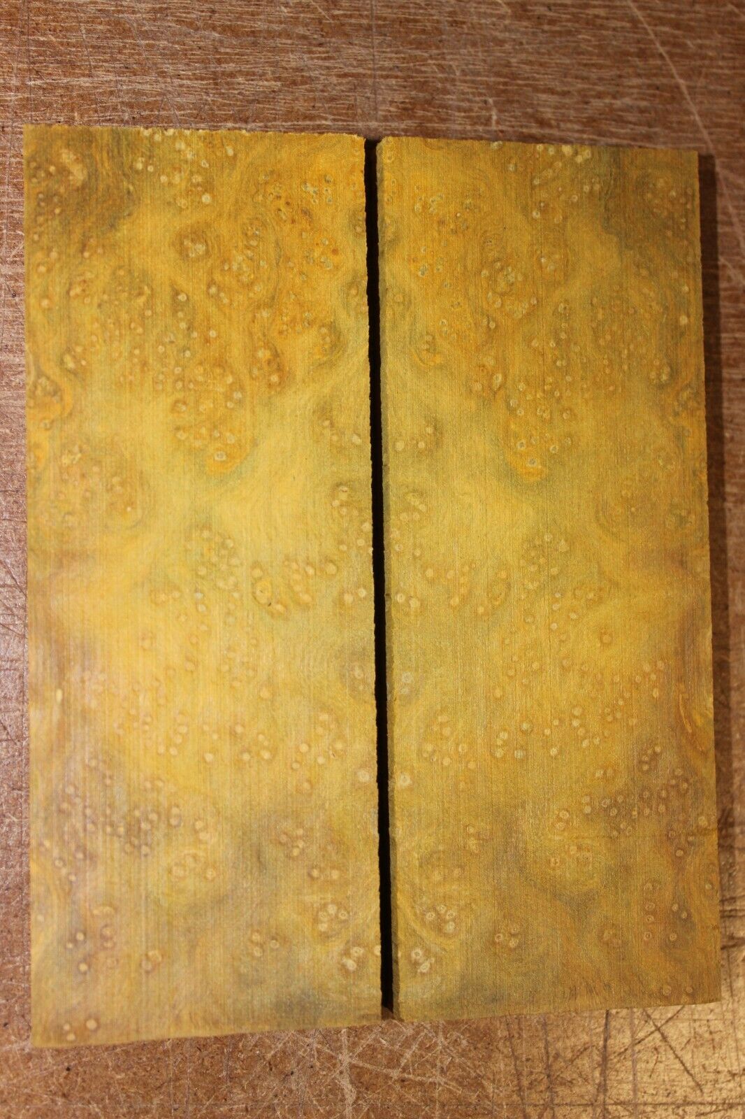 Golden Amboyna burl knife scale, gun grip. 5 X 1 7/8 X 3/8"
