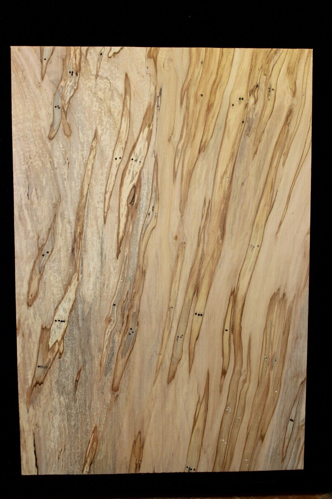 Spalted ambrosia maple one piece guitar top.