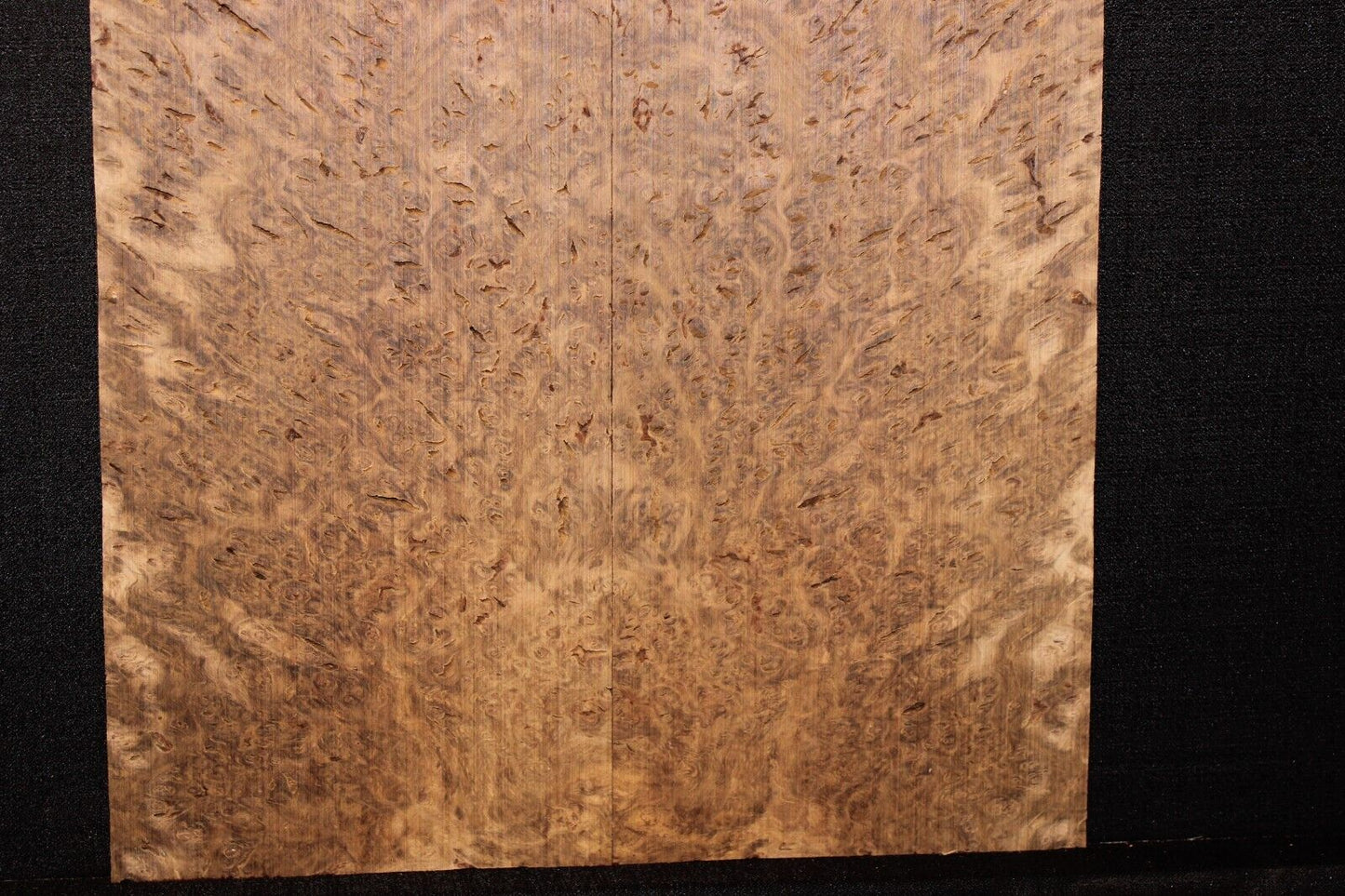 Smoked Scottish oak burl book matched guitar top. Personal stash piece.