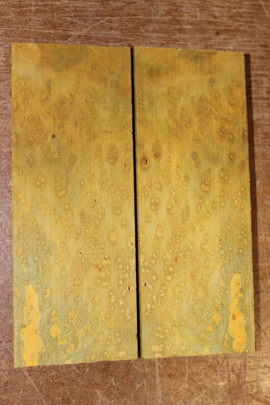 Golden Amboyna burl knife scale, gun grip. 5 X 1 7/8 X 3/8"
