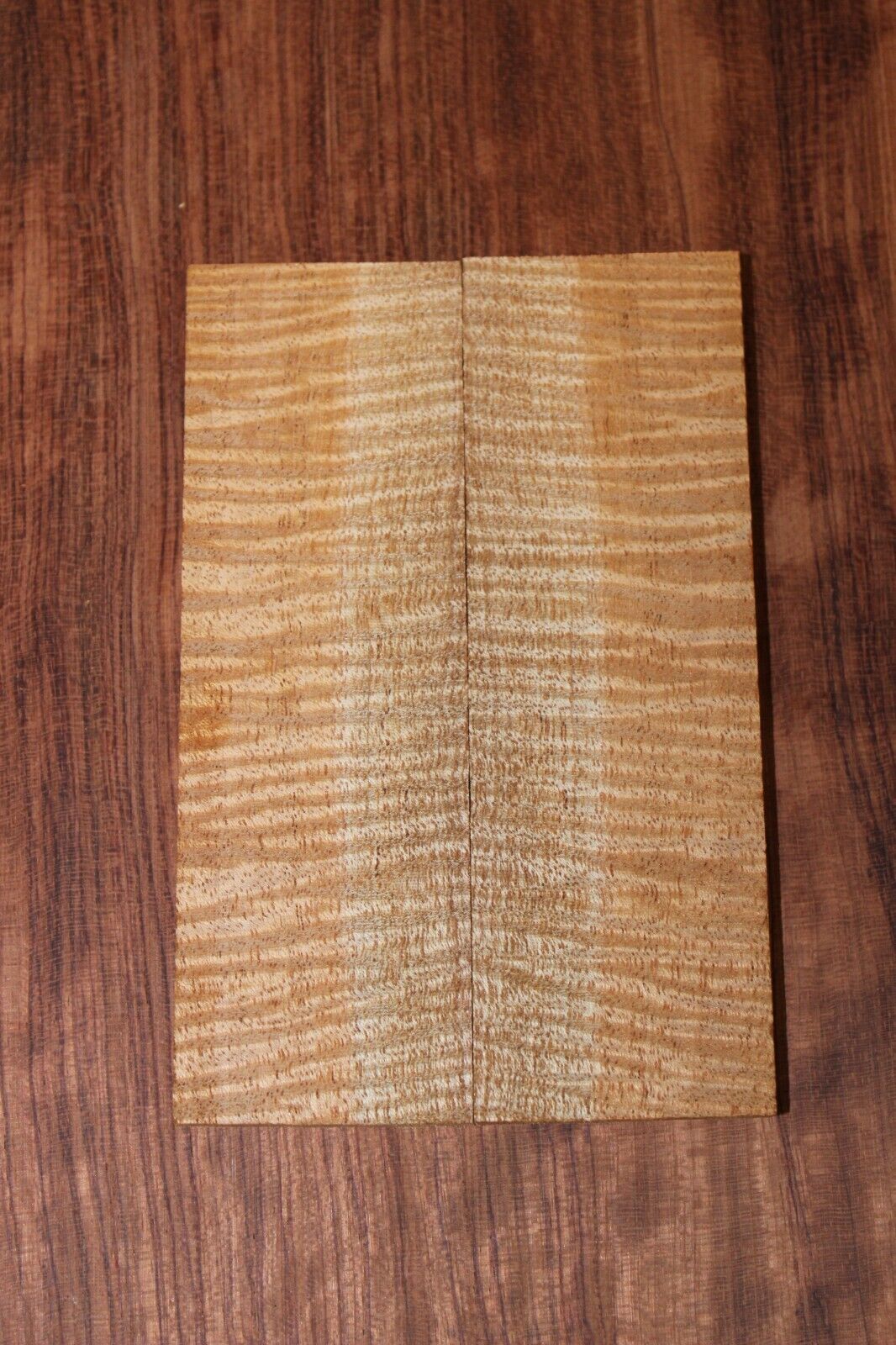 Curly / flame mahogany knife scale, gun grip. Insane figure 5.5 X 1.75 X 3/8"