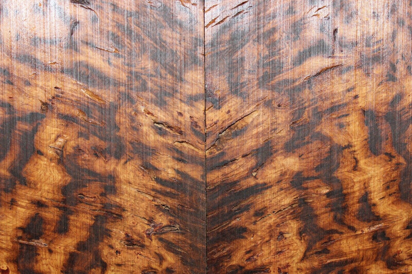 Smoked Scottish oak burl book matched guitar top. Personal stash piece.