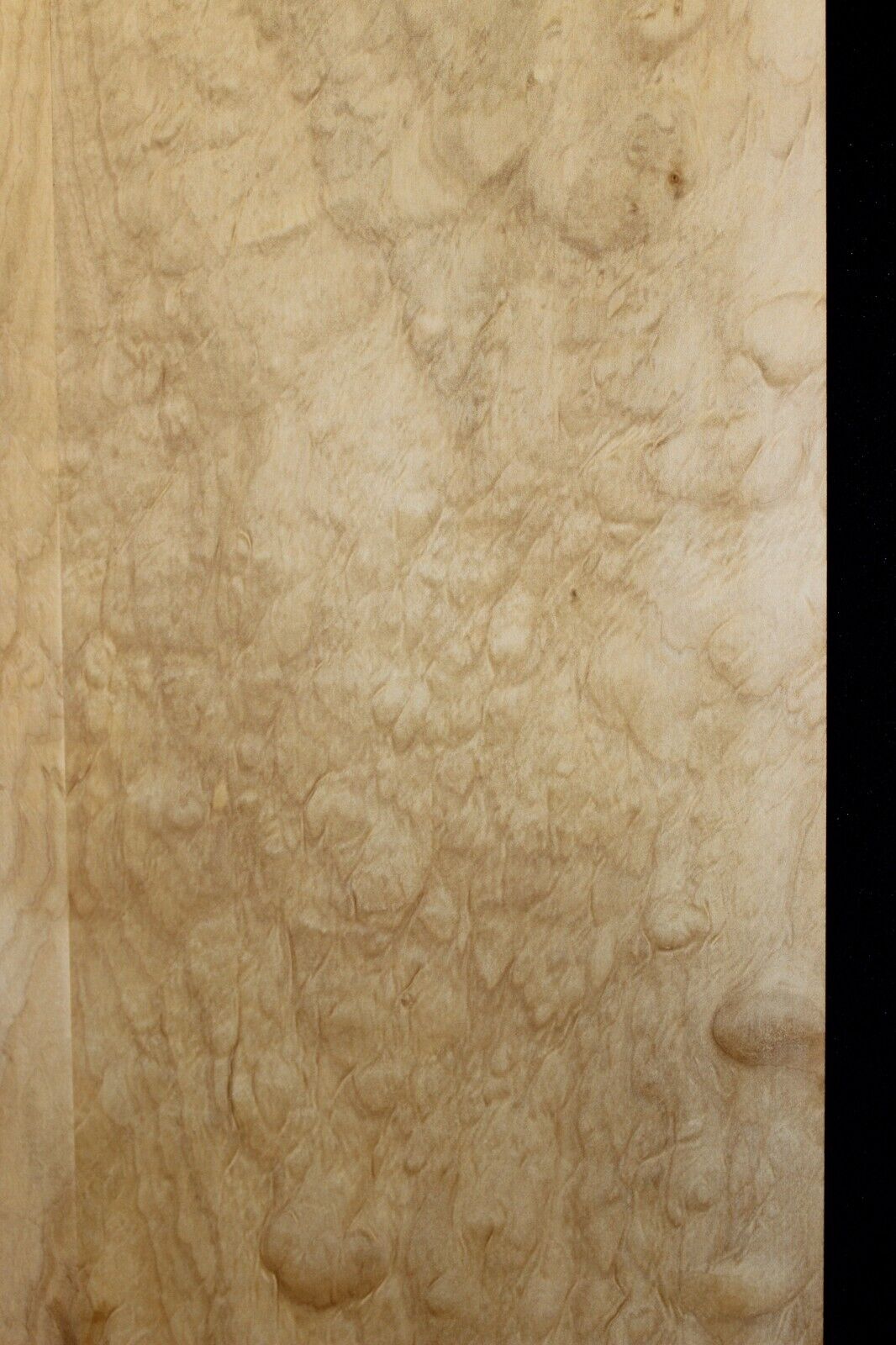 Silver maple, burl / lace figured guitar book matched top.