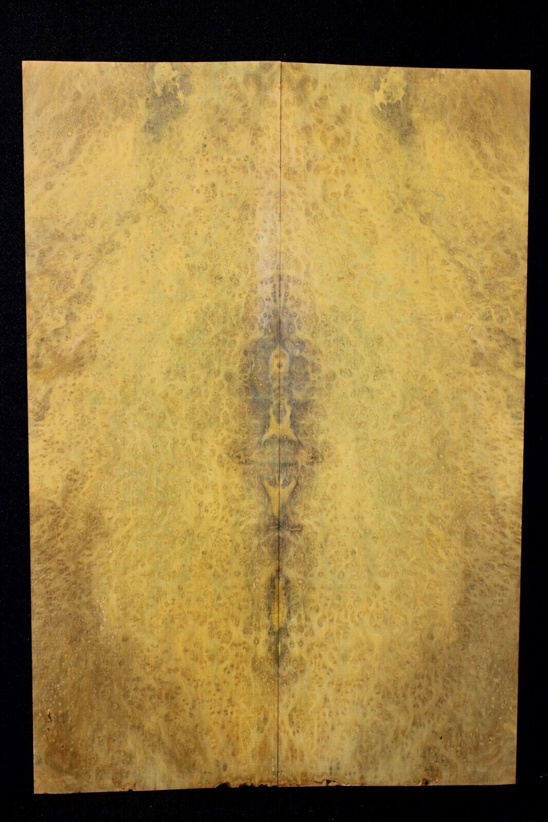 Golden Amboyna burl book matched guitar top.
