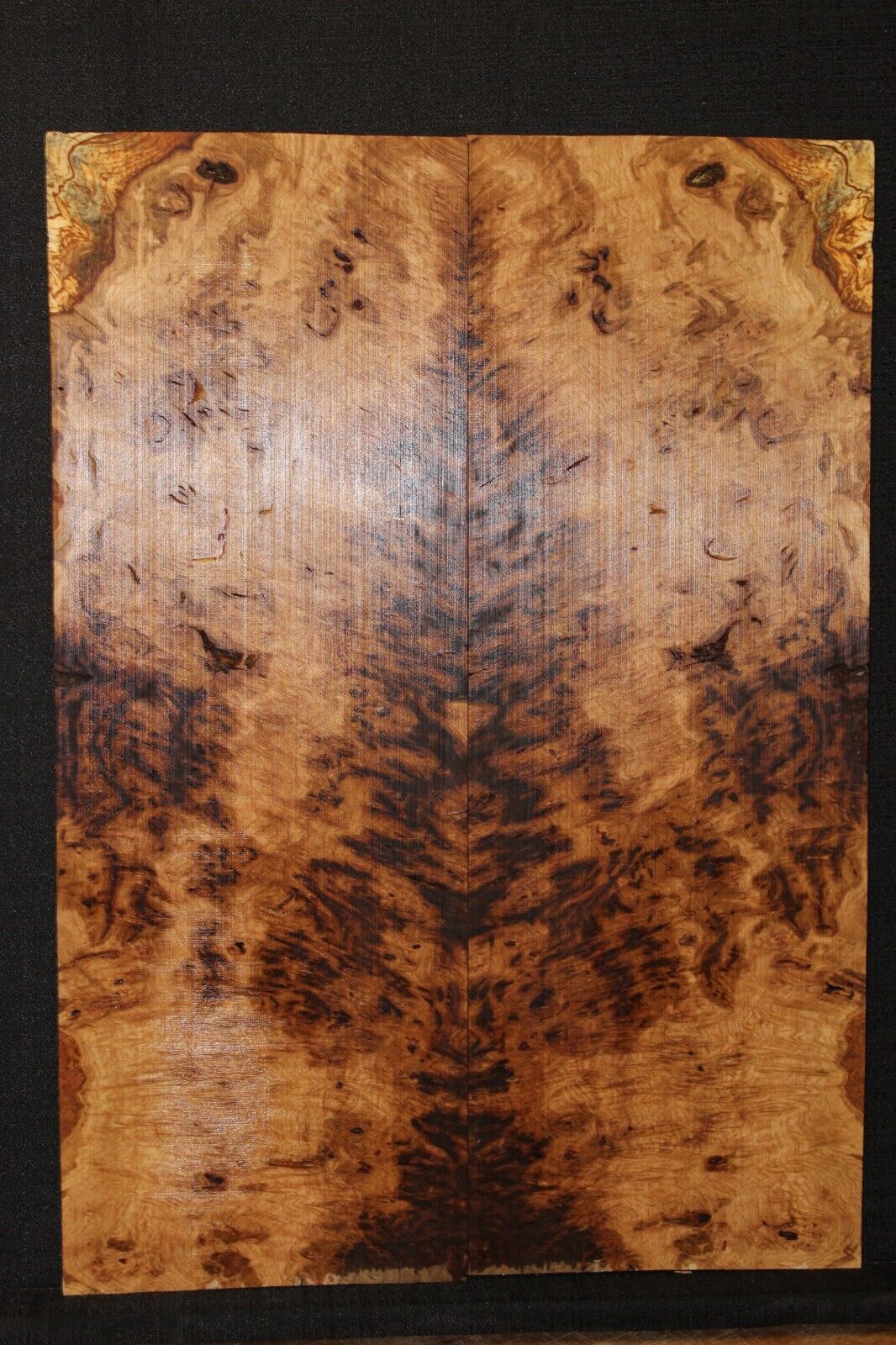 Smoked Scottish oak burl book matched guitar top. Personal stash piece.