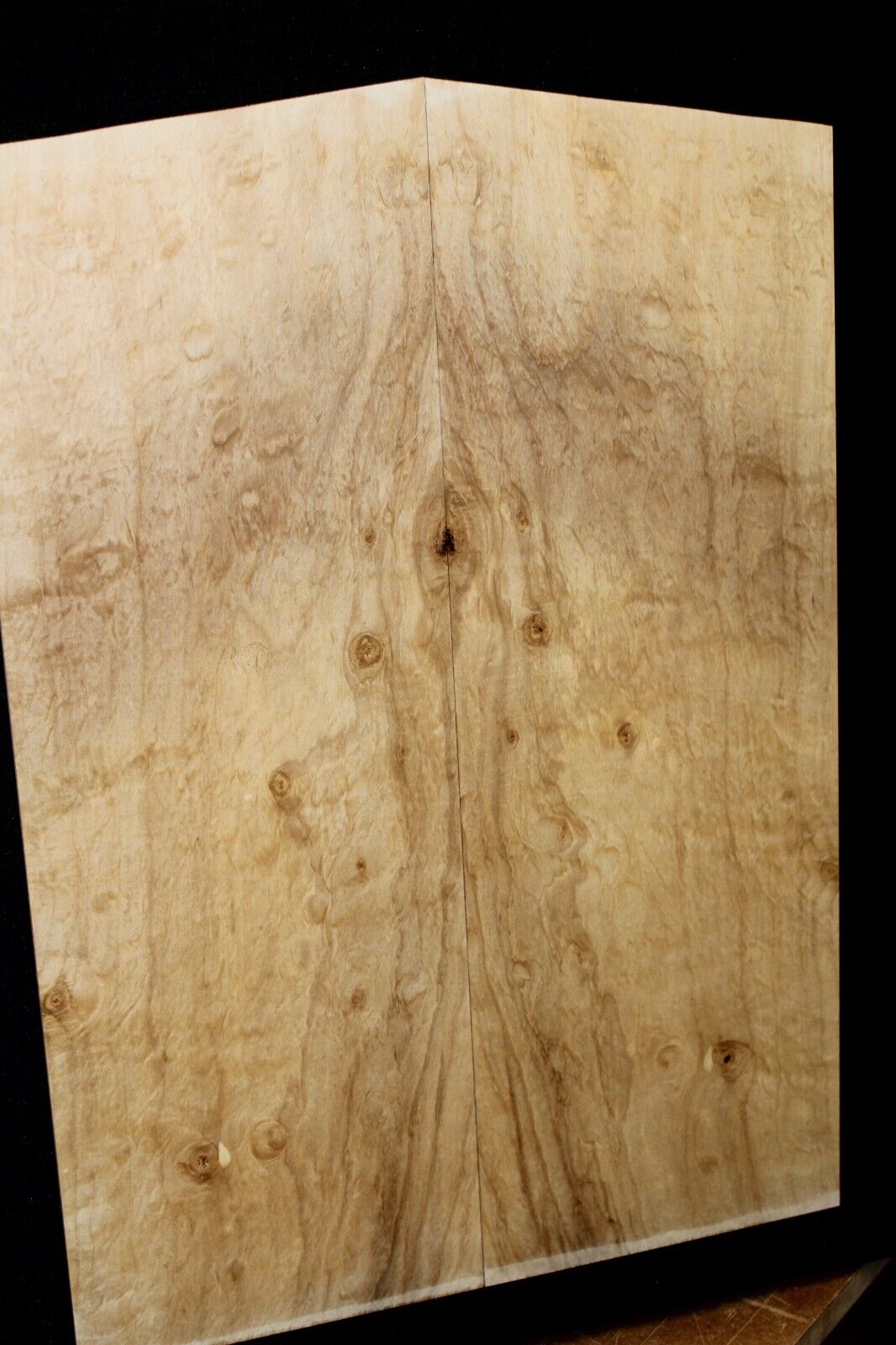 Silver maple, burl / lace figured guitar book matched top.