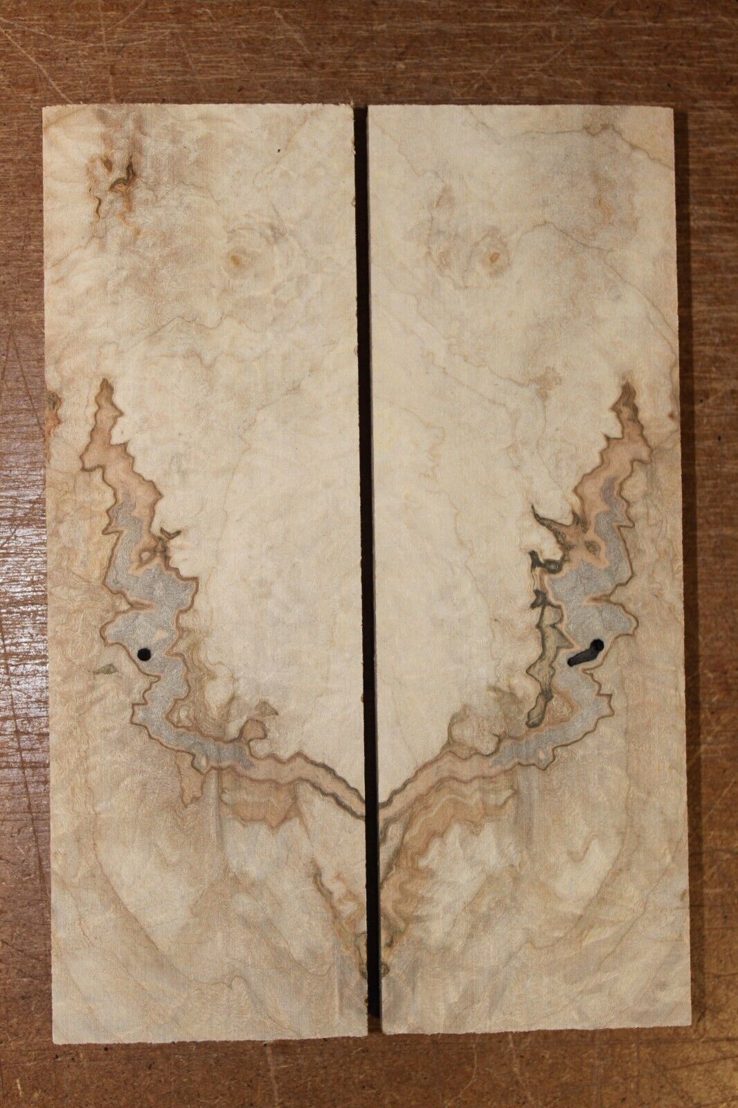 Curly ambrosia maple knife scale, gun grip. Insane tight figure 6 X 2 X 0.40"