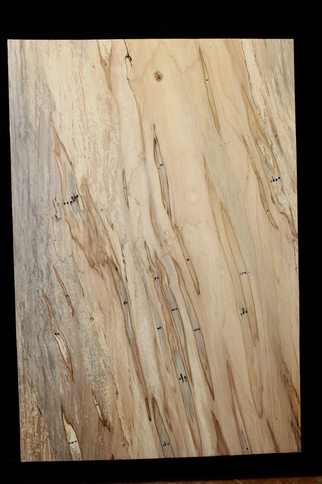 Spalted ambrosia maple one piece guitar top.
