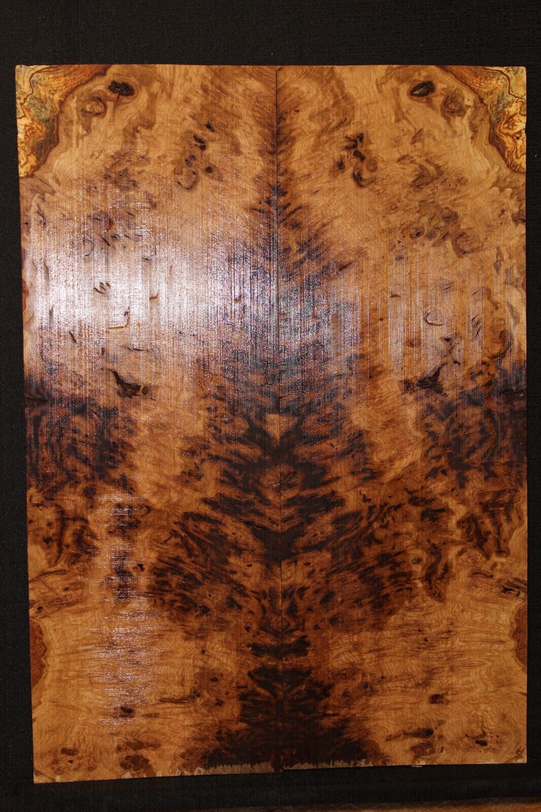 Smoked Scottish oak burl book matched guitar top. Personal stash piece.