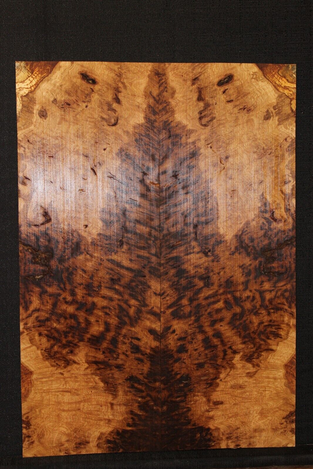 Smoked Scottish oak burl book matched guitar top. Personal stash piece.