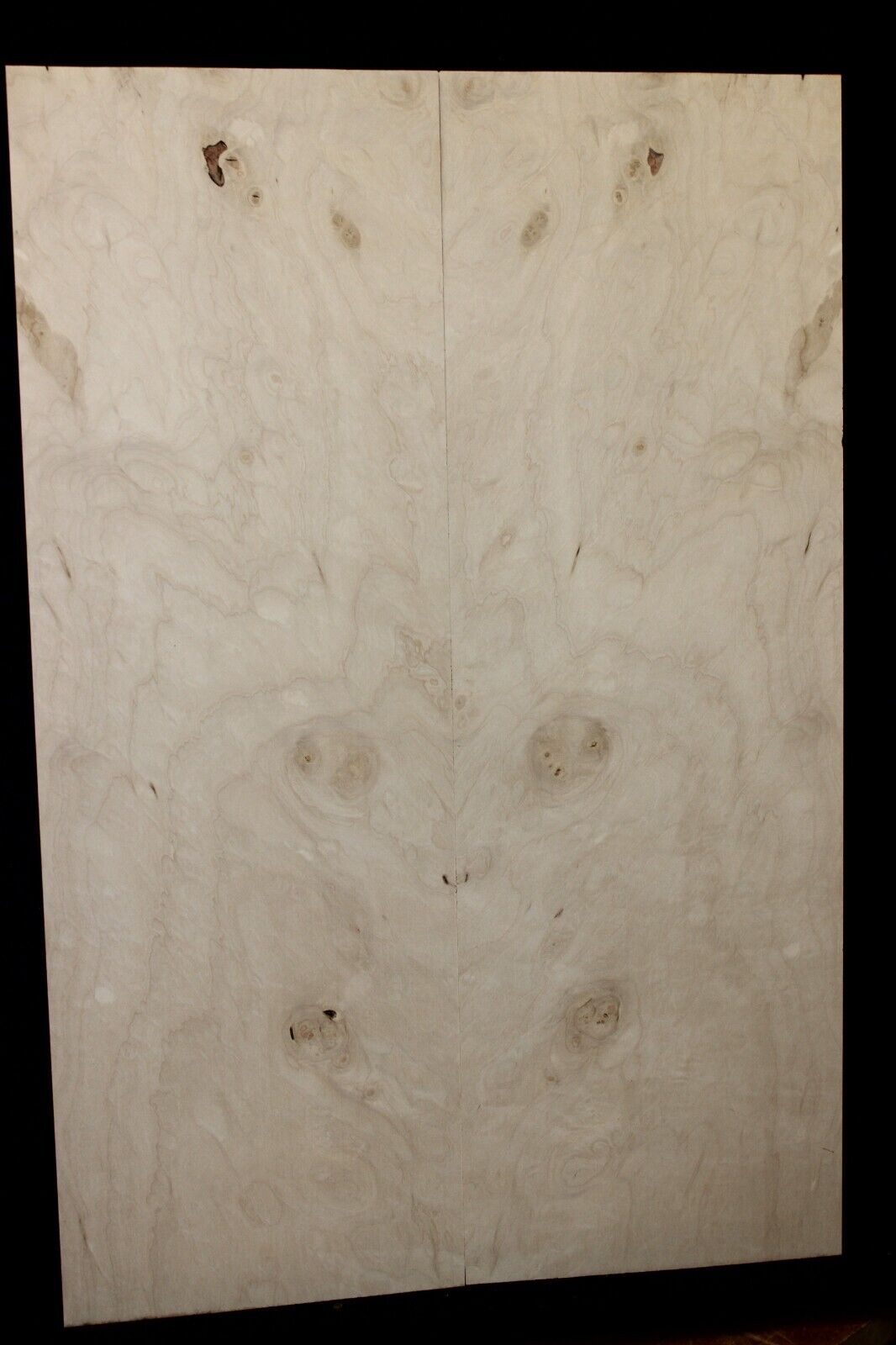 Silver maple, burl / lace figured guitar book matched top.