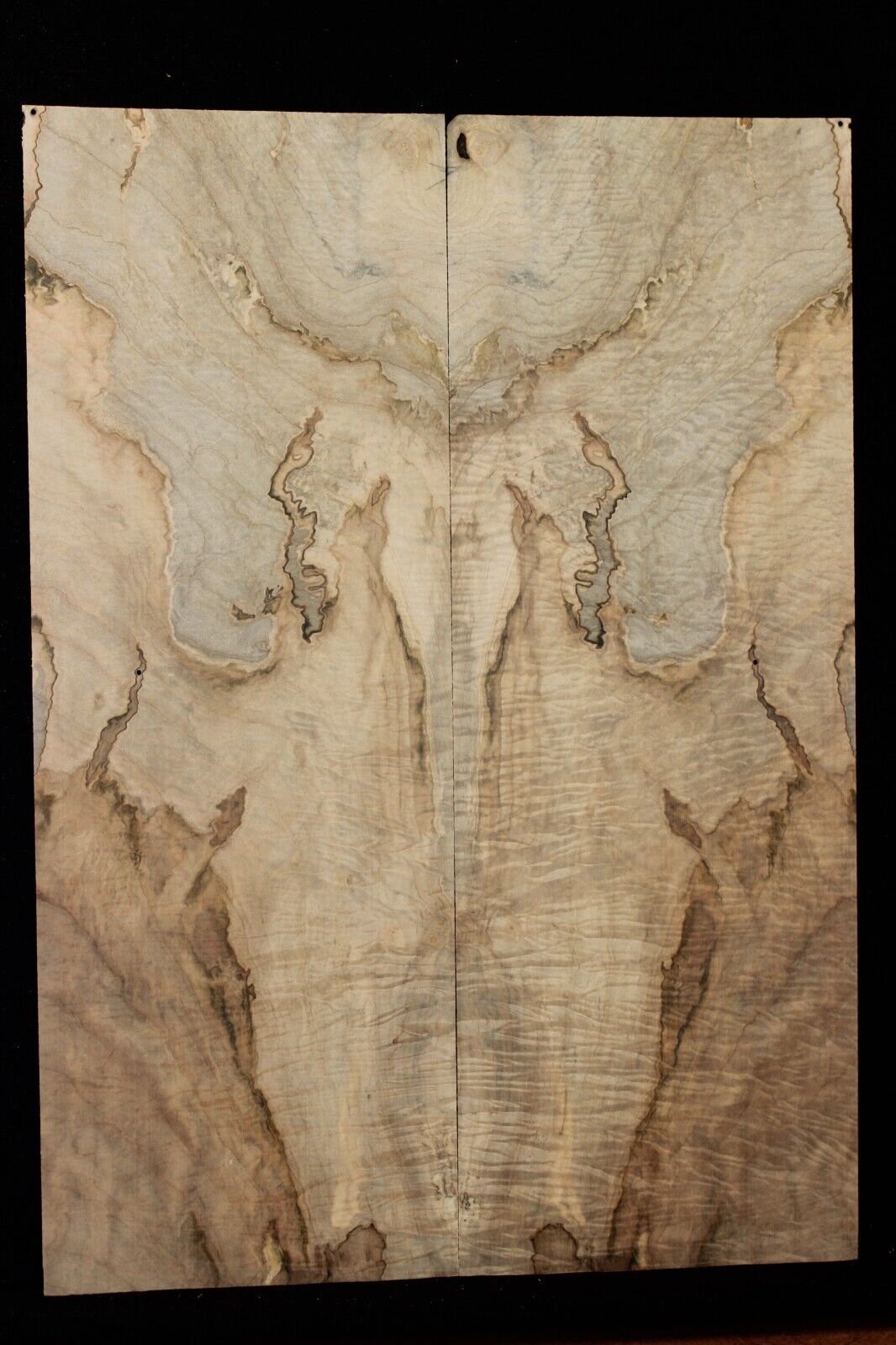 Figured ambrosia maple book matched guitar top. Stunning set