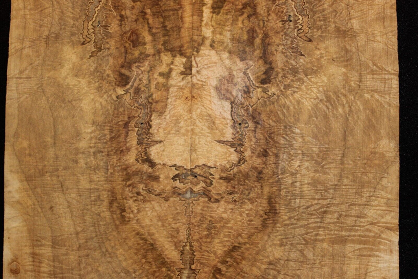 Figured ambrosia maple bookmatched guitar top, insane figure and color.
